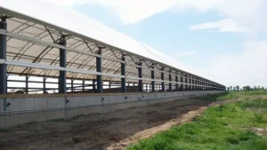 Very long hoop building